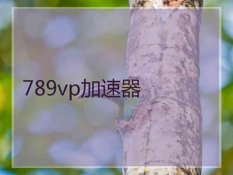 789vp加速器