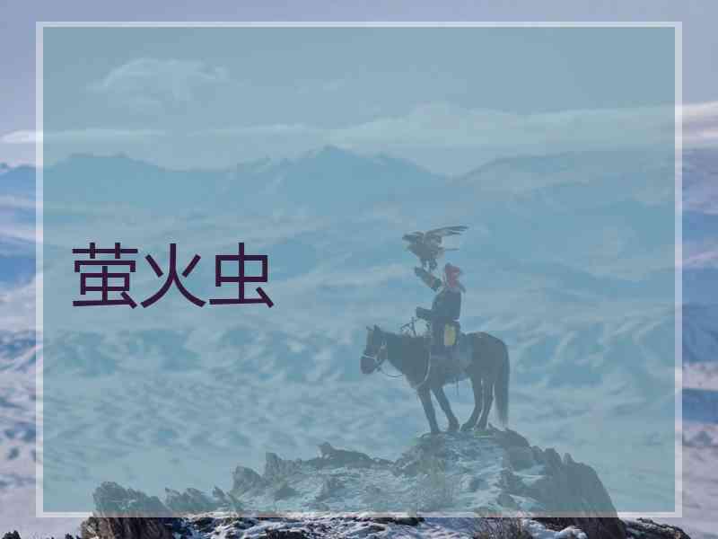 萤火虫