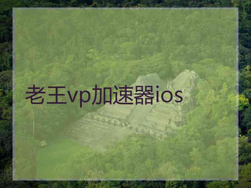 老王vp加速器ios