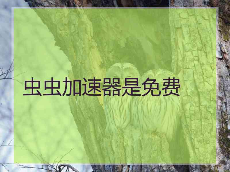 虫虫加速器是免费