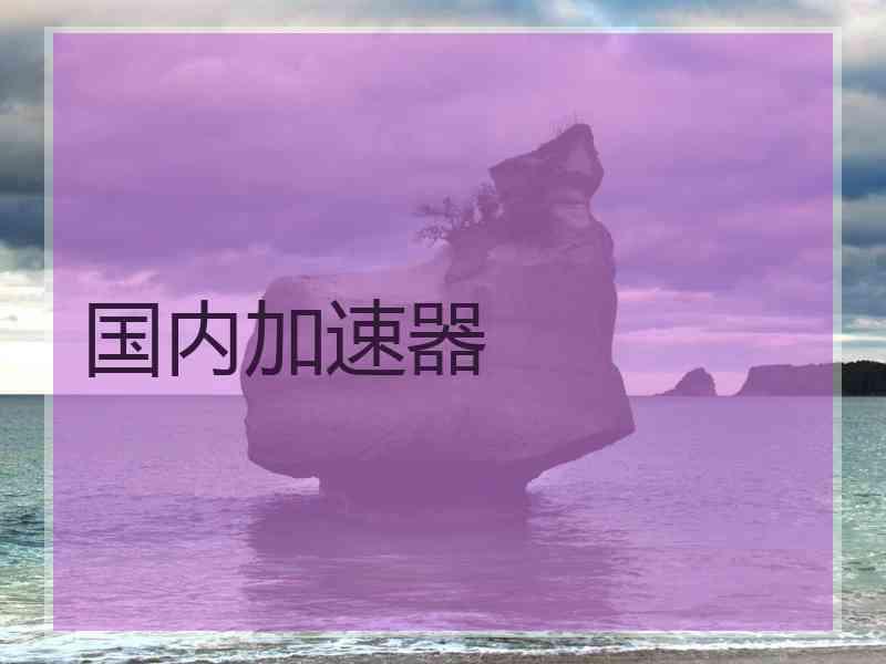 国内加速器