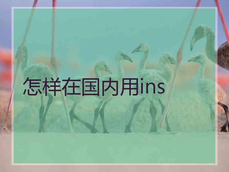 怎样在国内用ins