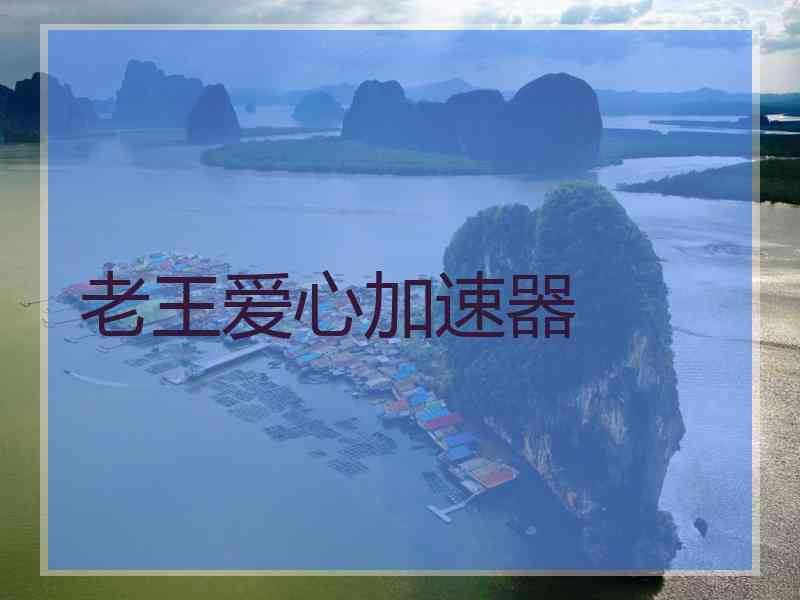 老王爱心加速器