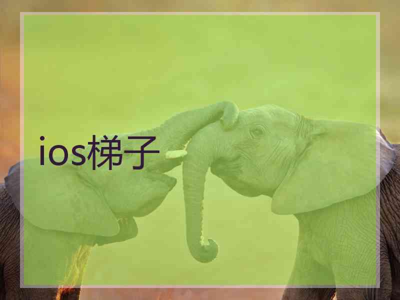 ios梯子