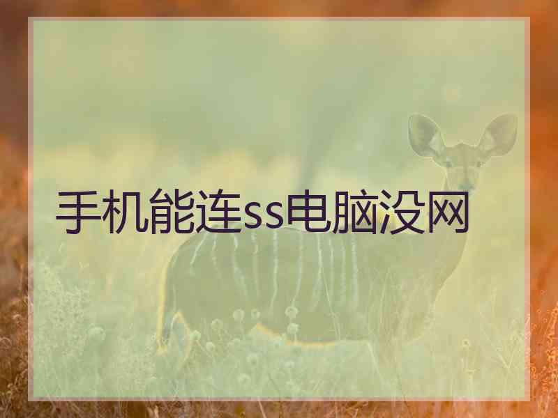 手机能连ss电脑没网