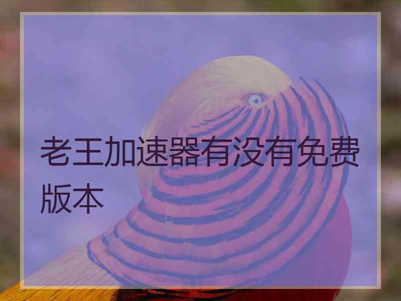老王加速器有没有免费版本
