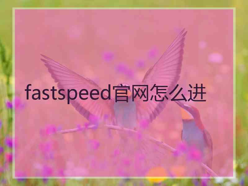 fastspeed官网怎么进