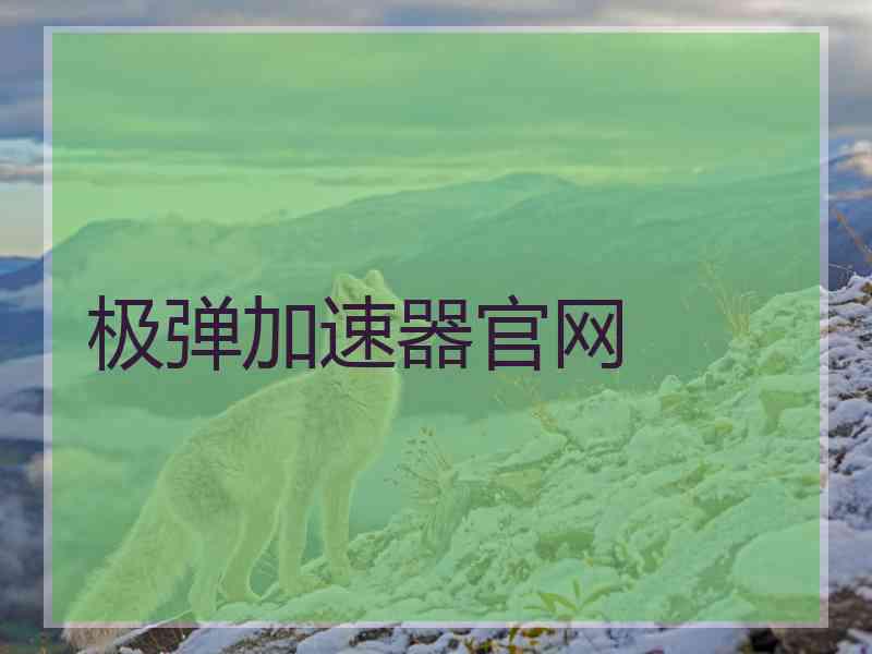 极弹加速器官网