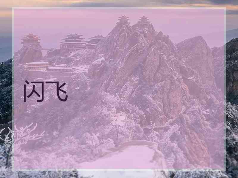 闪飞