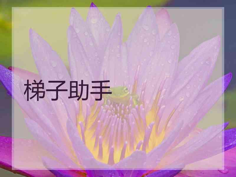 梯子助手