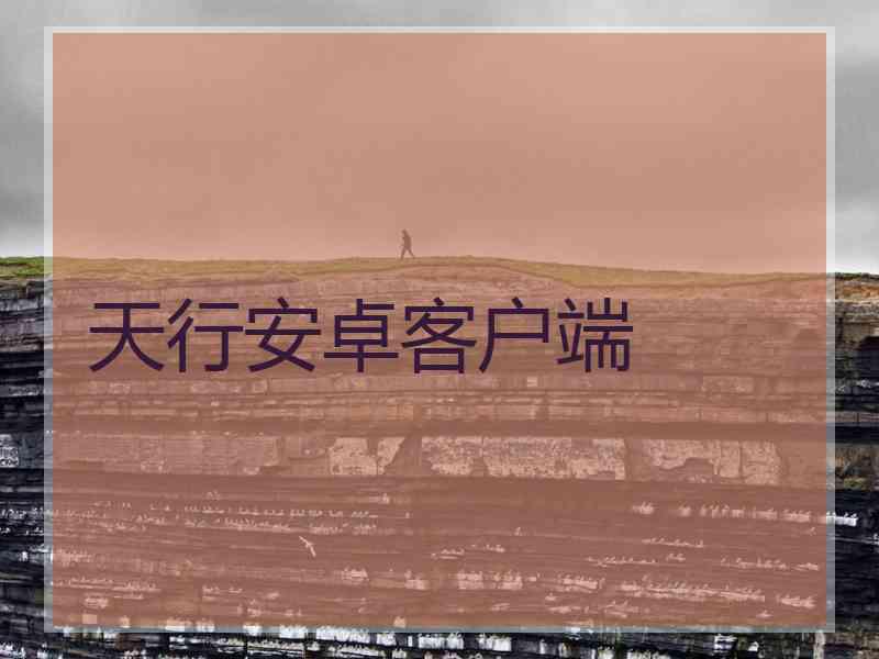 天行安卓客户端